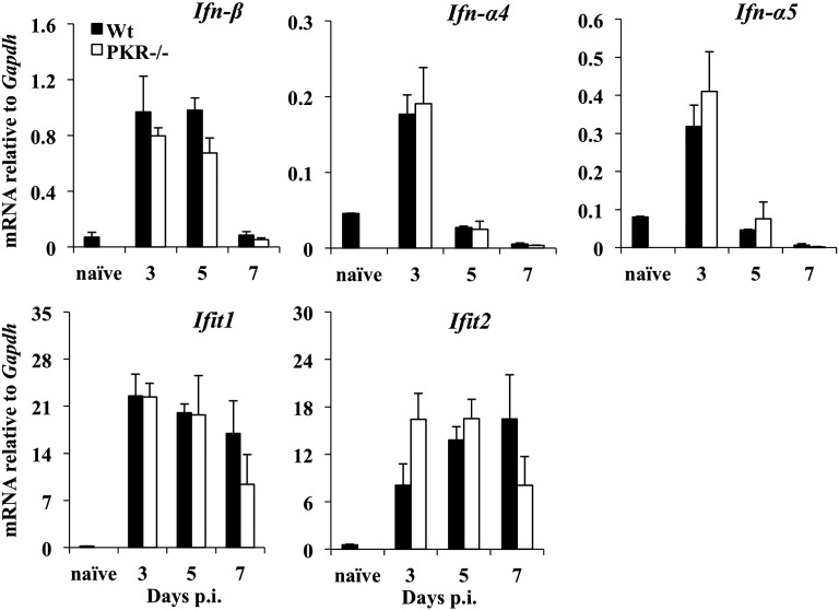 Fig. 4