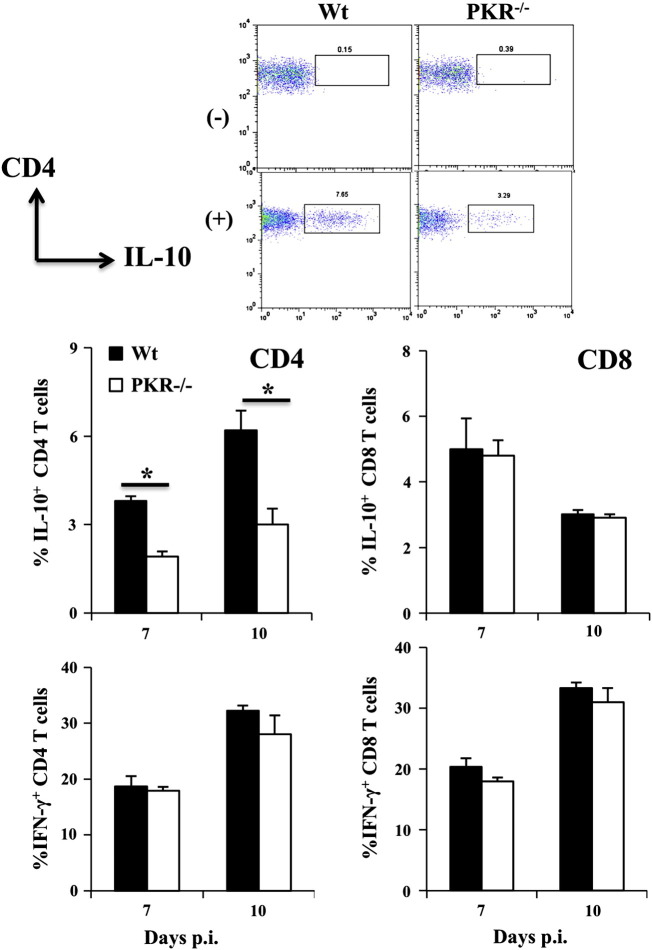 Fig. 7