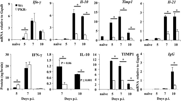 Fig. 6