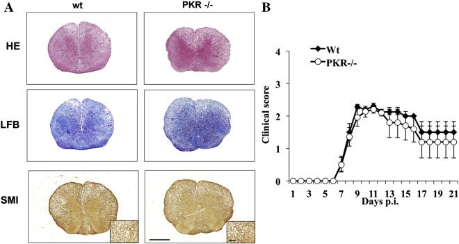 Fig. 9