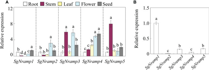 Figure 3