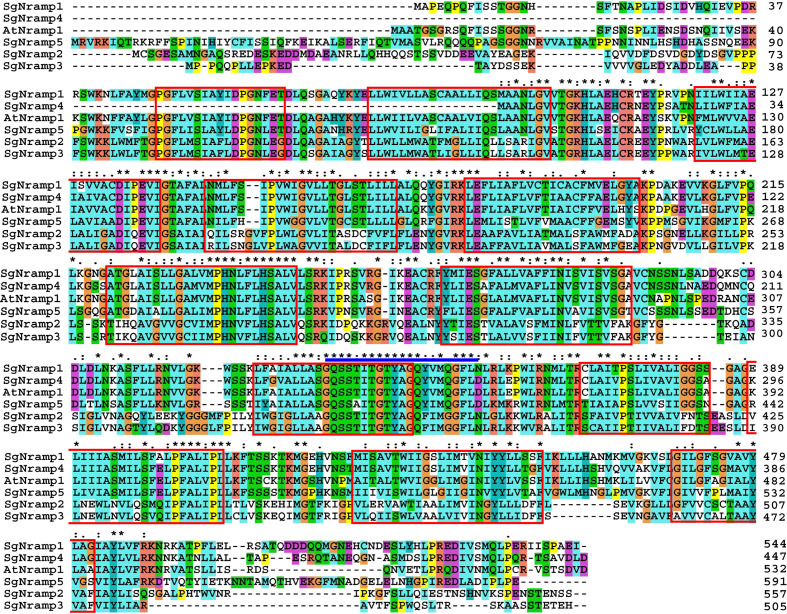 Figure 1