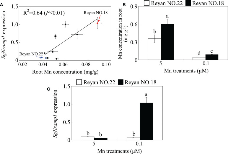 Figure 5