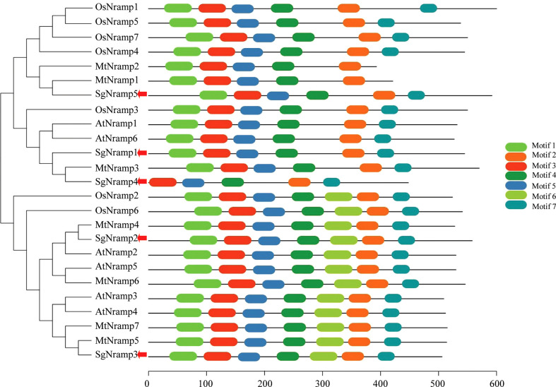 Figure 2