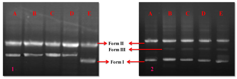 Figure 11