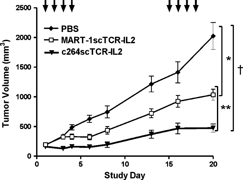 Fig. 6