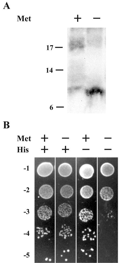 FIG. 5.