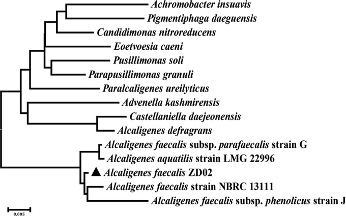 FIG 2