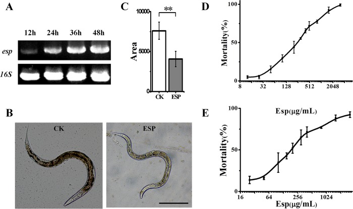 FIG 4