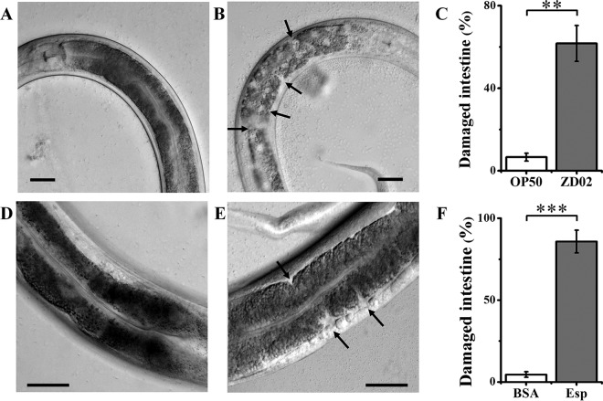 FIG 5