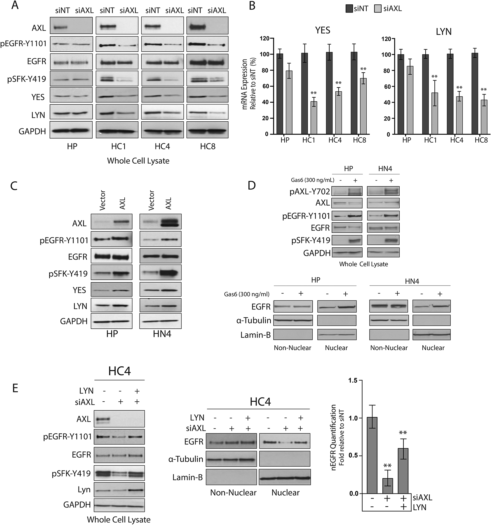 Figure 3: