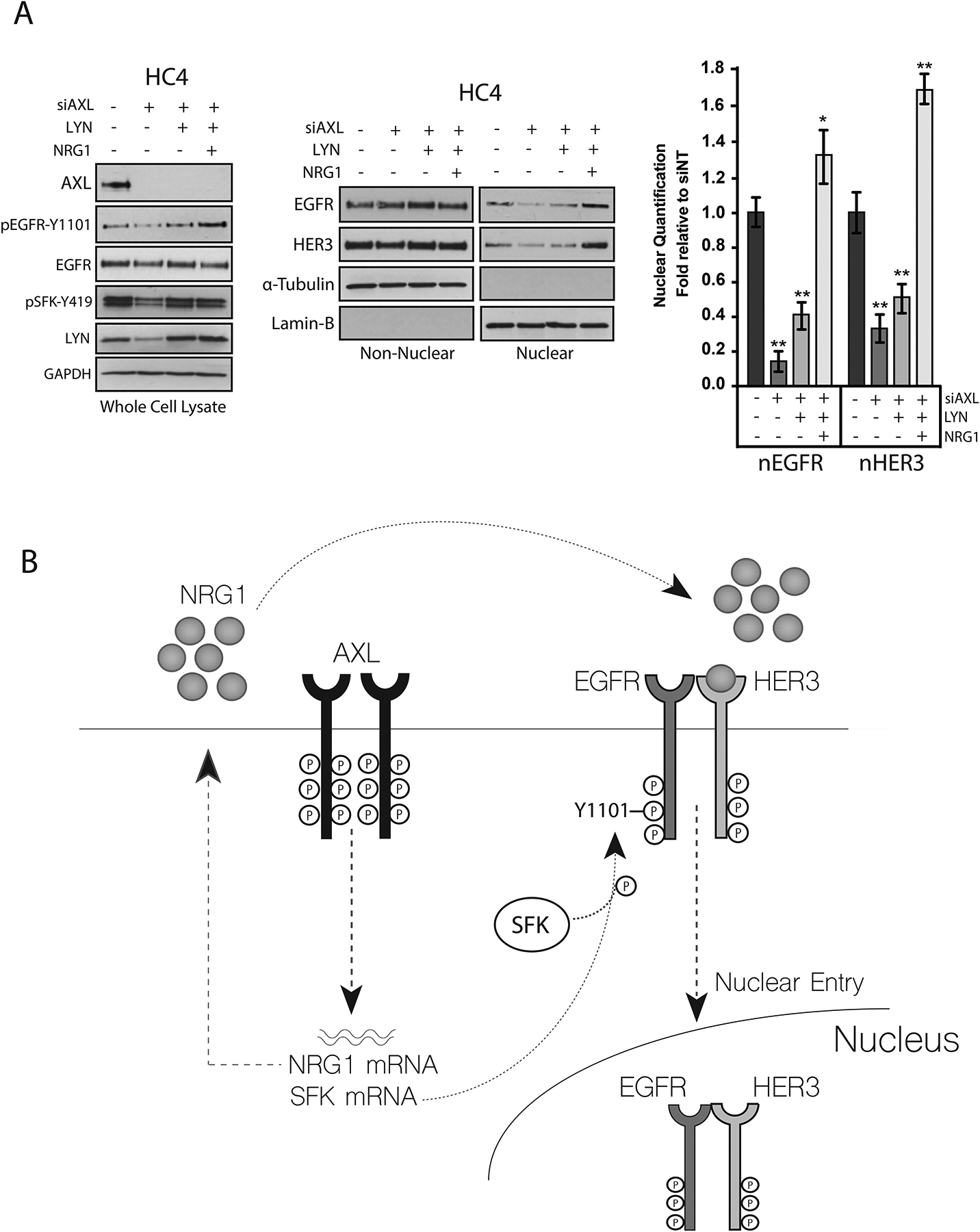 Figure 7: