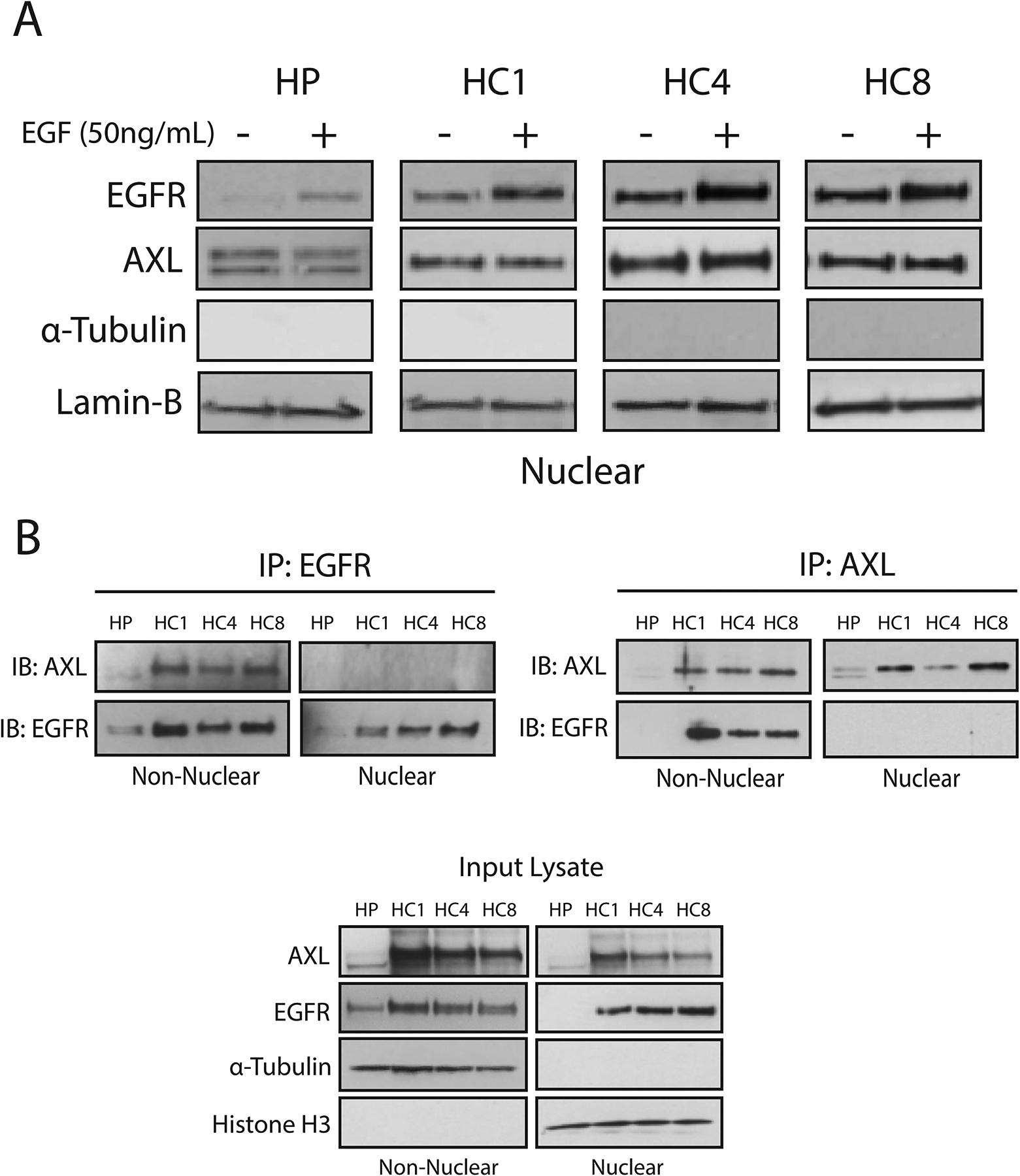 Figure 4: