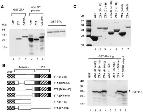 FIG. 8.