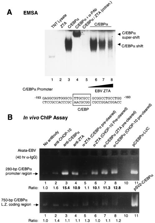 FIG. 10.