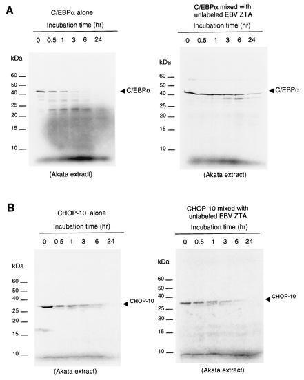 FIG. 9.