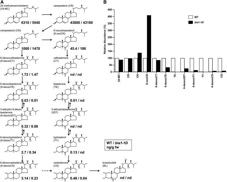 Figure 5.