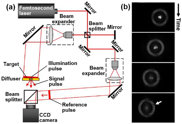 Fig. 3.