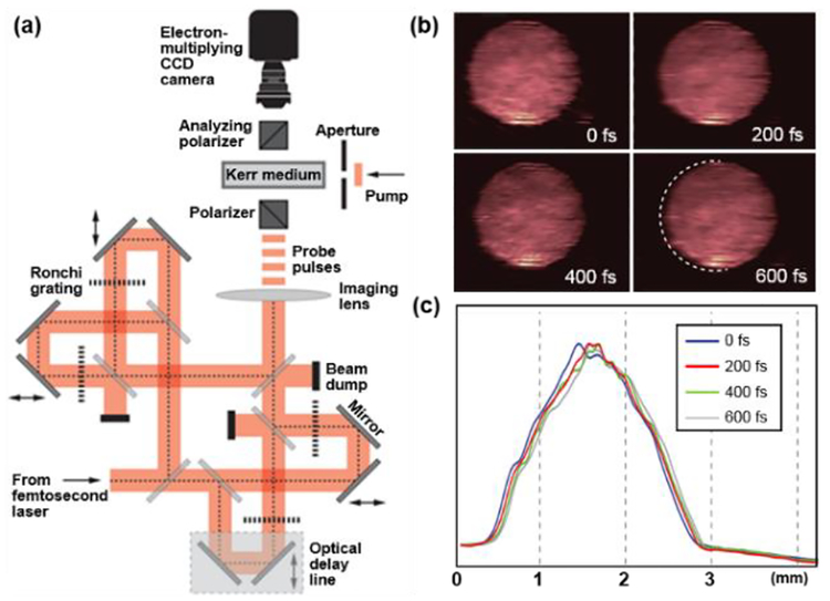 Fig. 7.