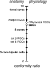 Figure 9.