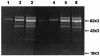 FIG. 6.