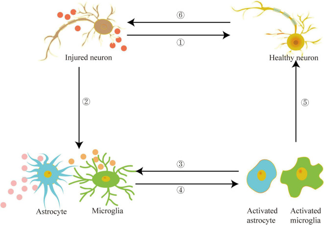 FIGURE 3