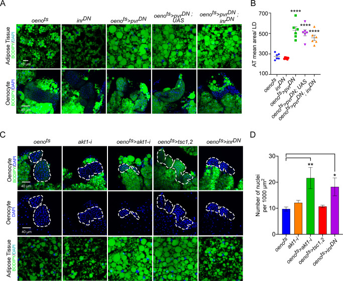 Figure 4—figure supplement 2.