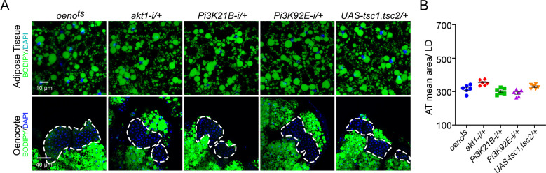 Figure 4—figure supplement 3.