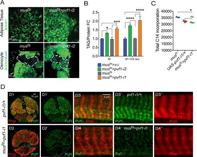 Figure 1—figure supplement 1.