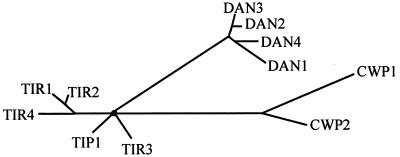 FIG. 1