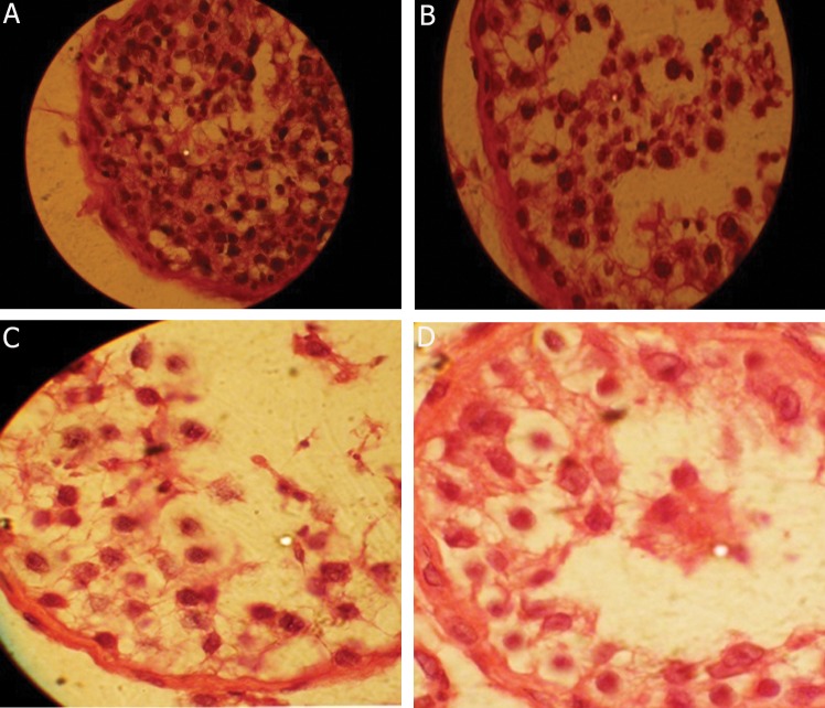 Fig.4