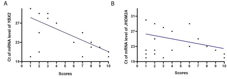 Fig.3