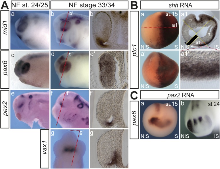 Fig. S1.