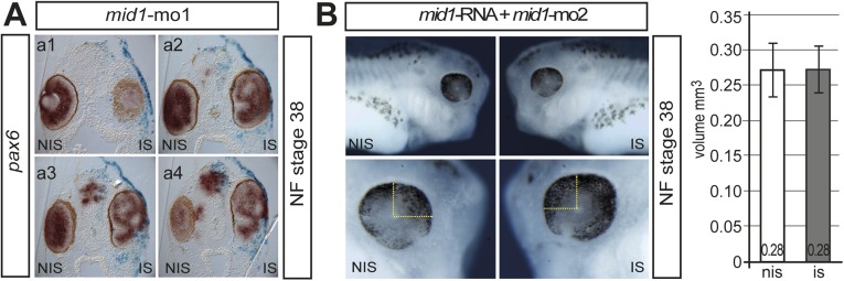 Fig. S3.