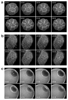 Fig. 3