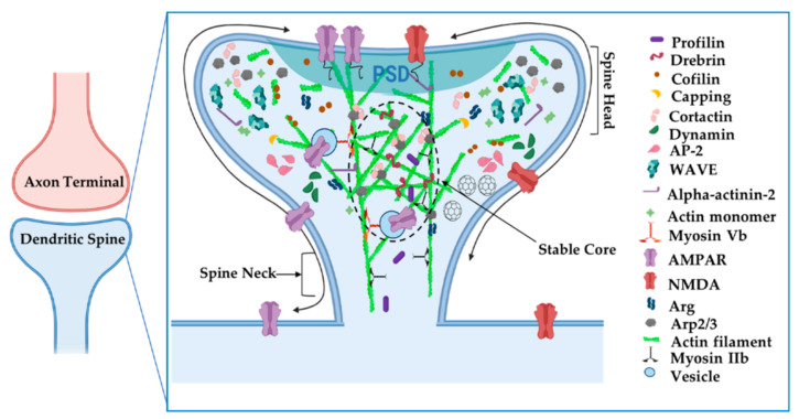 Figure 6