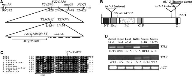 Figure 3.