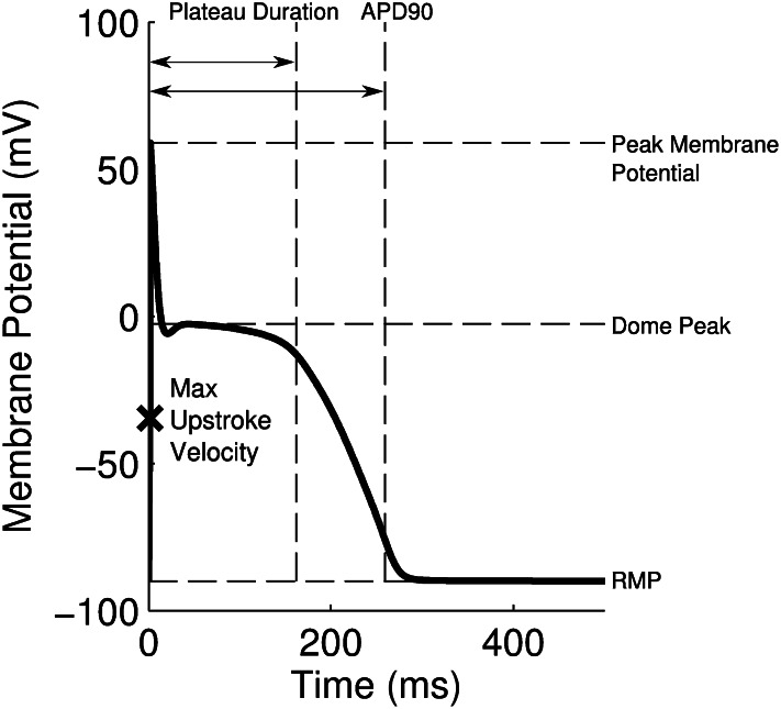 Fig. 10.