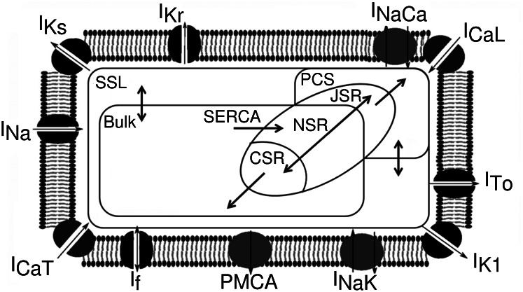 Fig. 9.