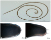 Fig. 1.