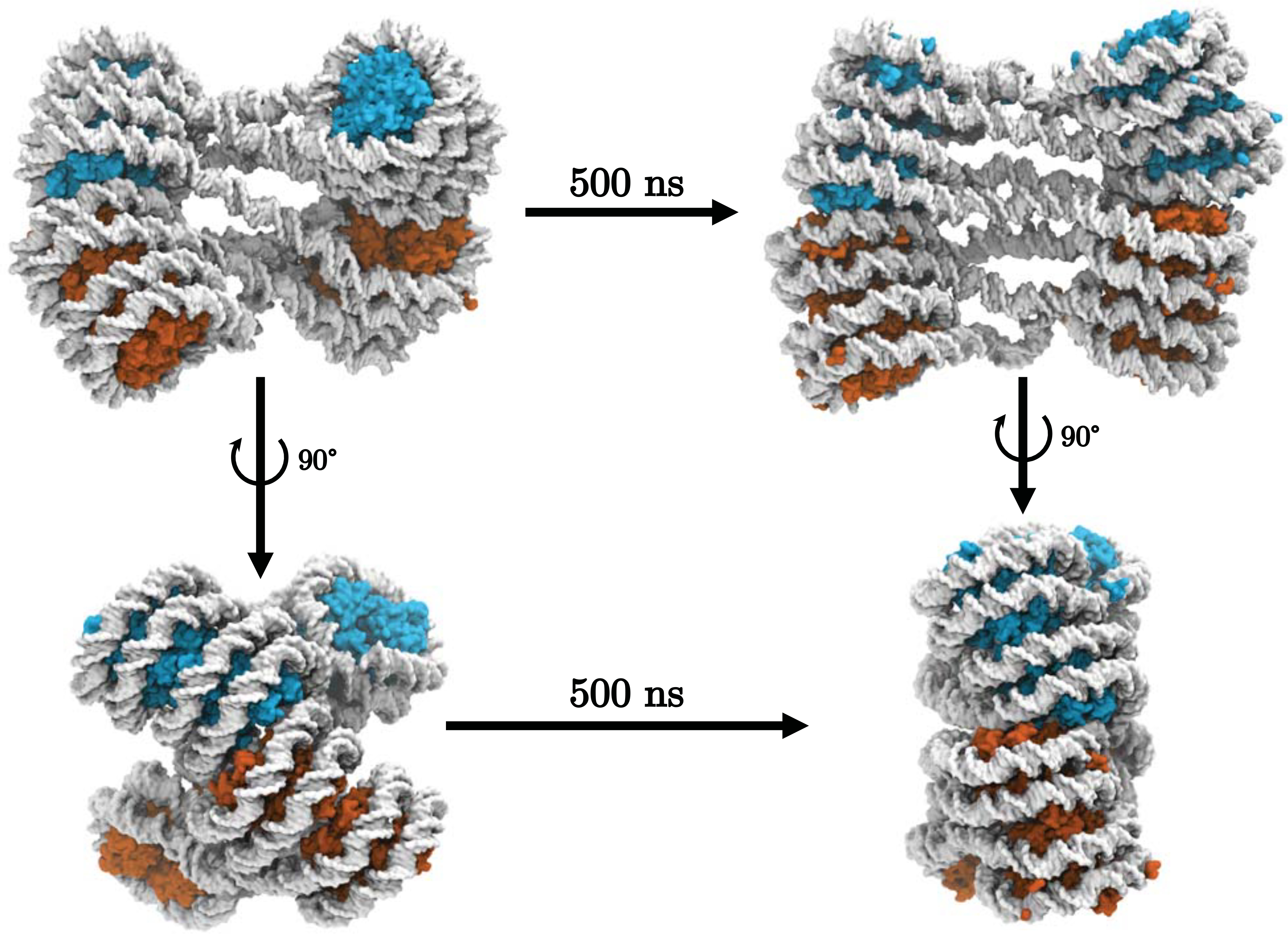 Figure 2: