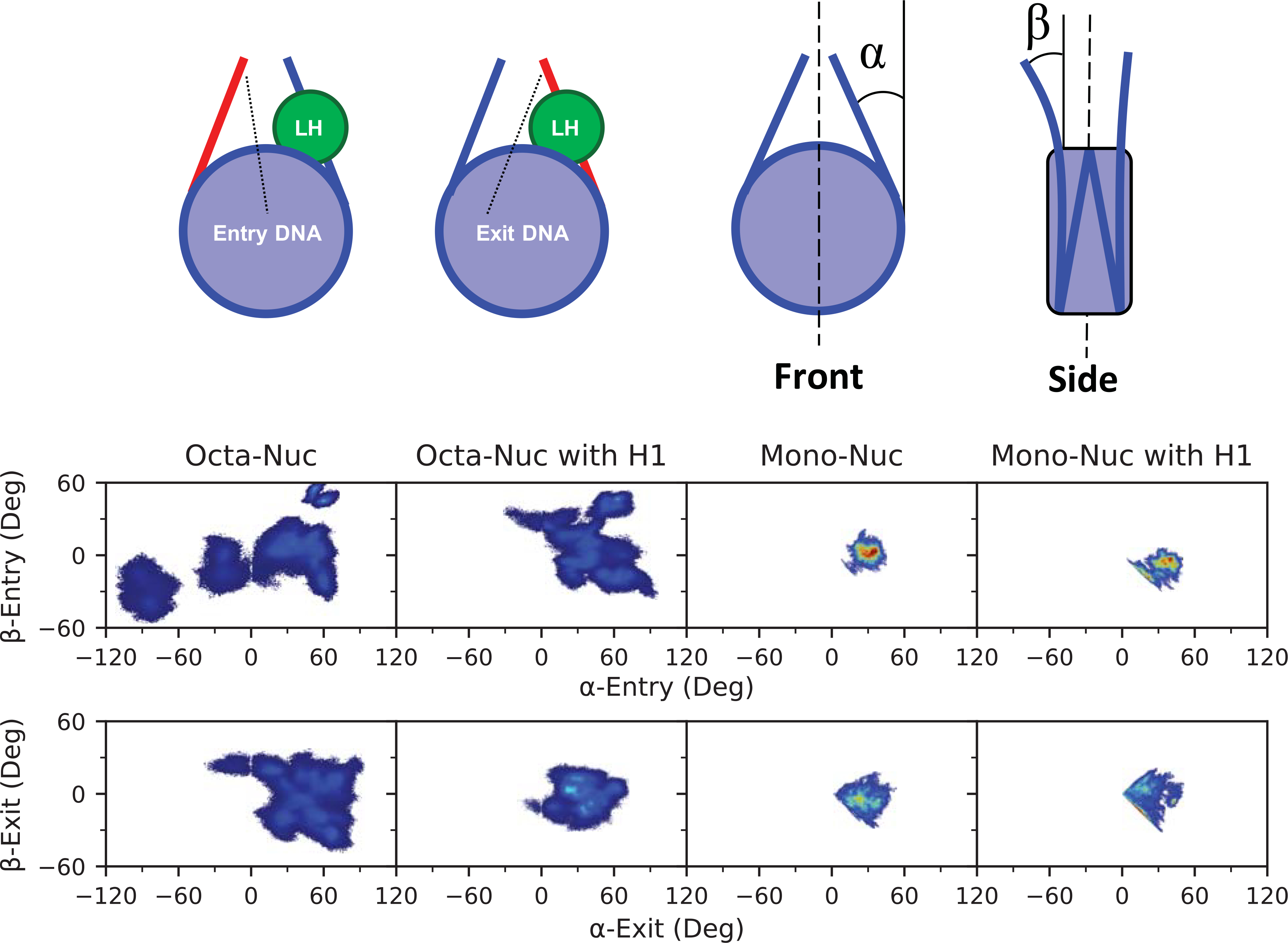 Figure 5: