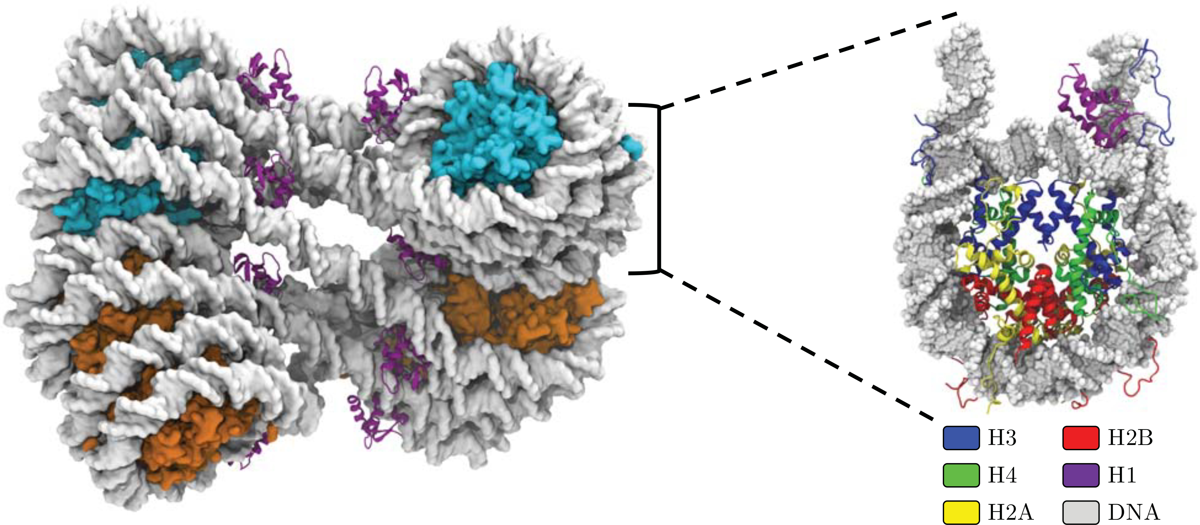 Figure 1: