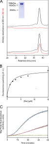 FIGURE 1.