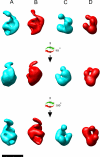 FIGURE 3.