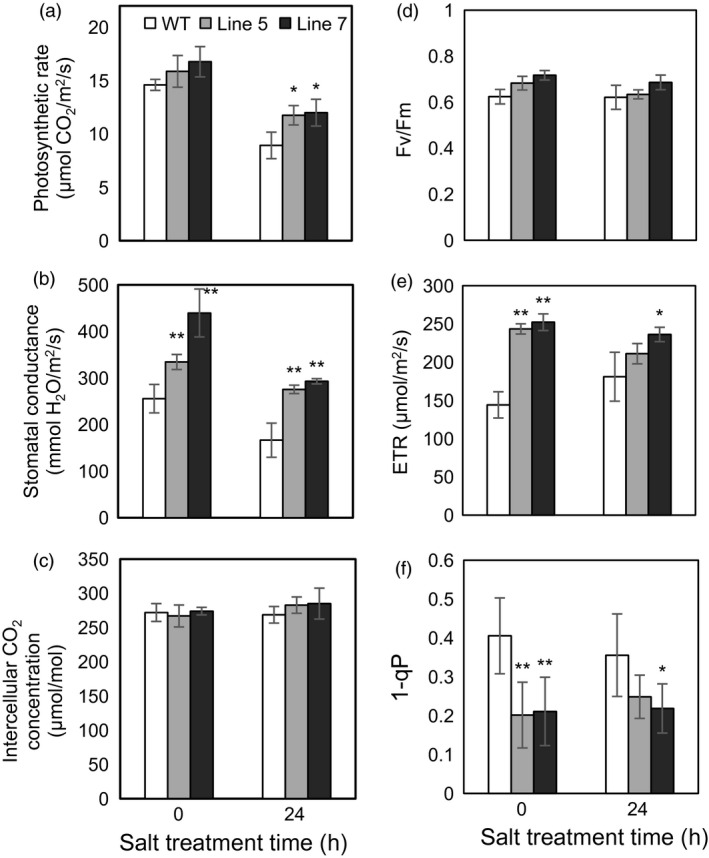 Figure 6