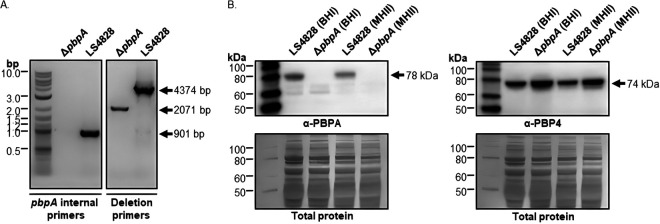 FIG 1