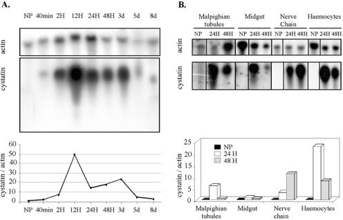 FIG. 4.