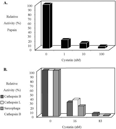 FIG. 7.