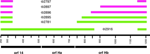 FIG. 6.